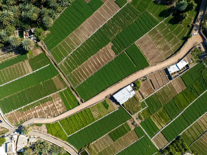 Agricultural Land